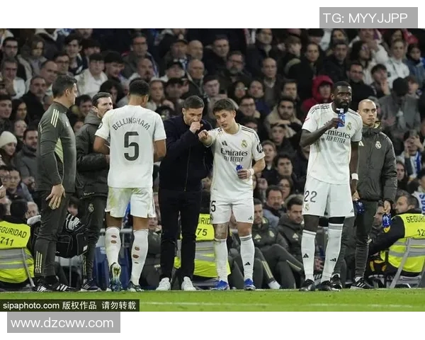 意大利在2024年欧洲杯预选赛中大胜罗马尼亚，展现强大实力